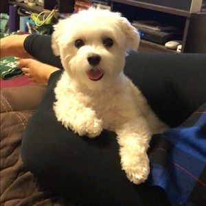 Meet your Posher, John